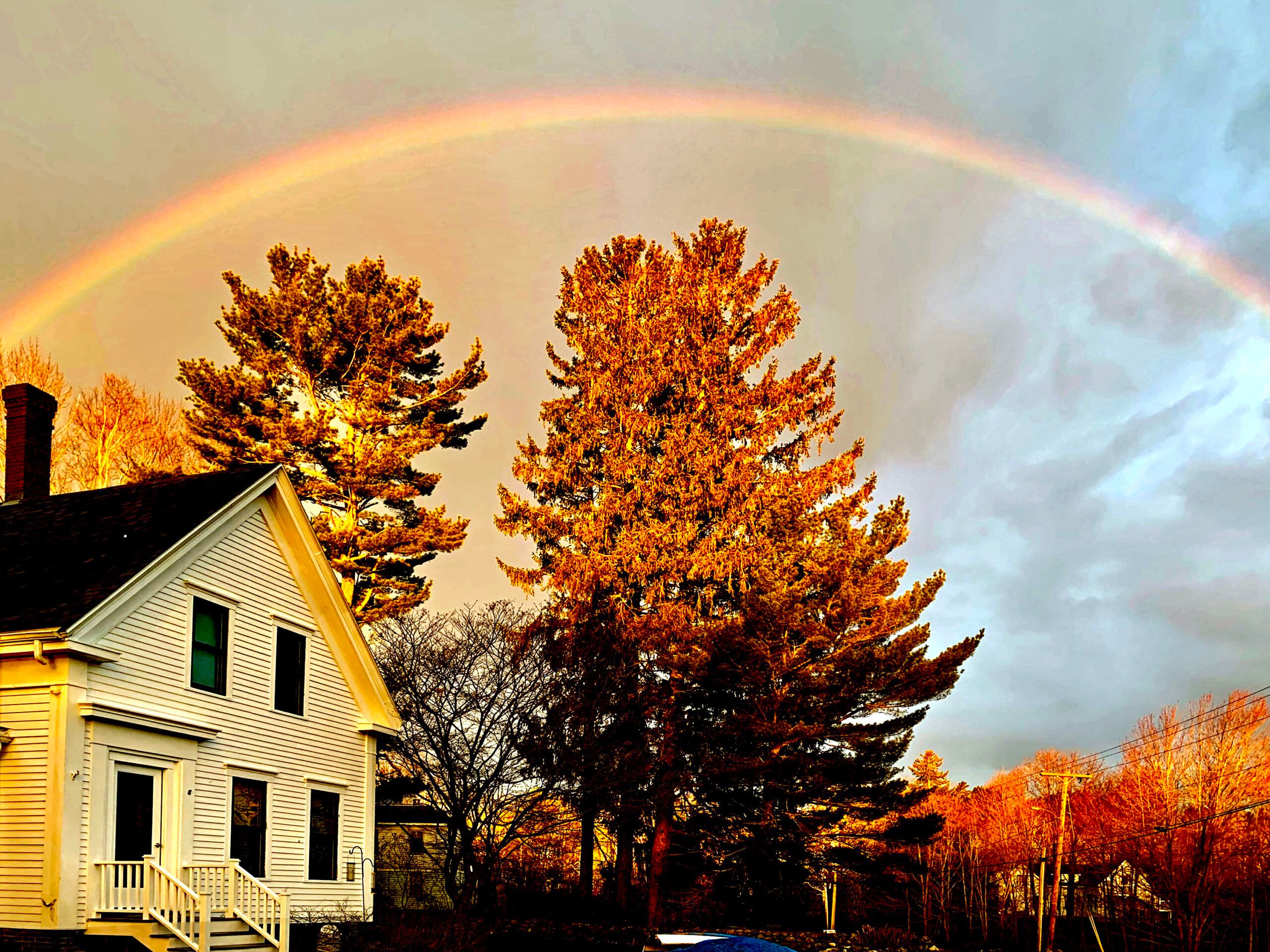 February 2026 Newsletter